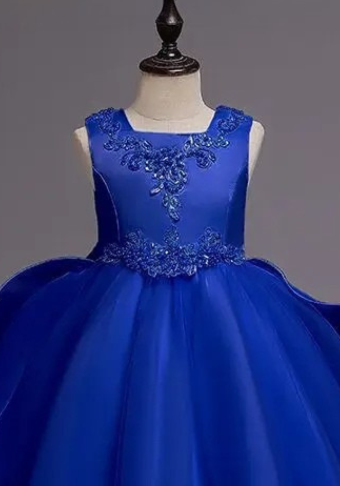 Robe Princesse Bleu Royal Broderie Fille