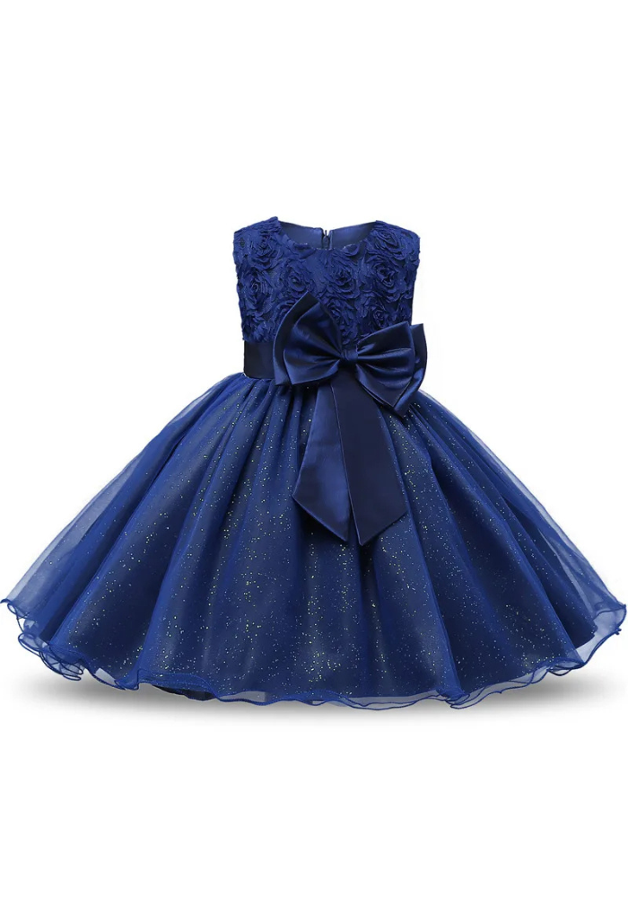 Robe Princesse Bleu Marine Fille