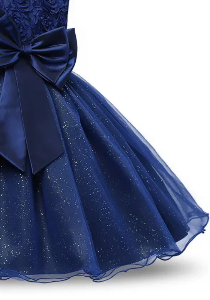 Robe Princesse Bleu Marine Fille pas cher