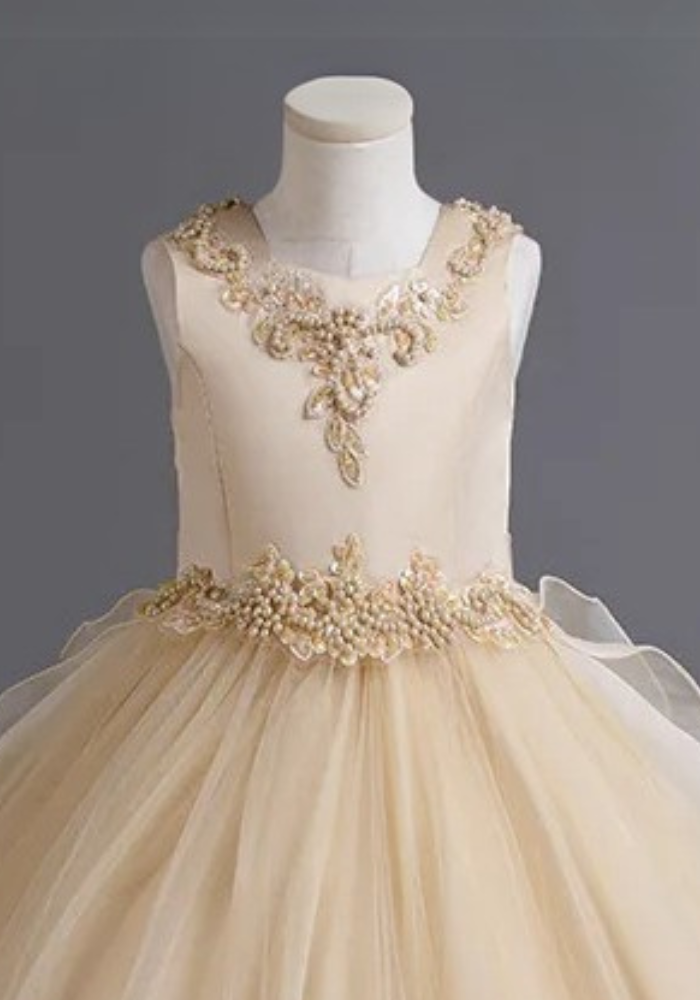 Robe Princesse Broderie Fille