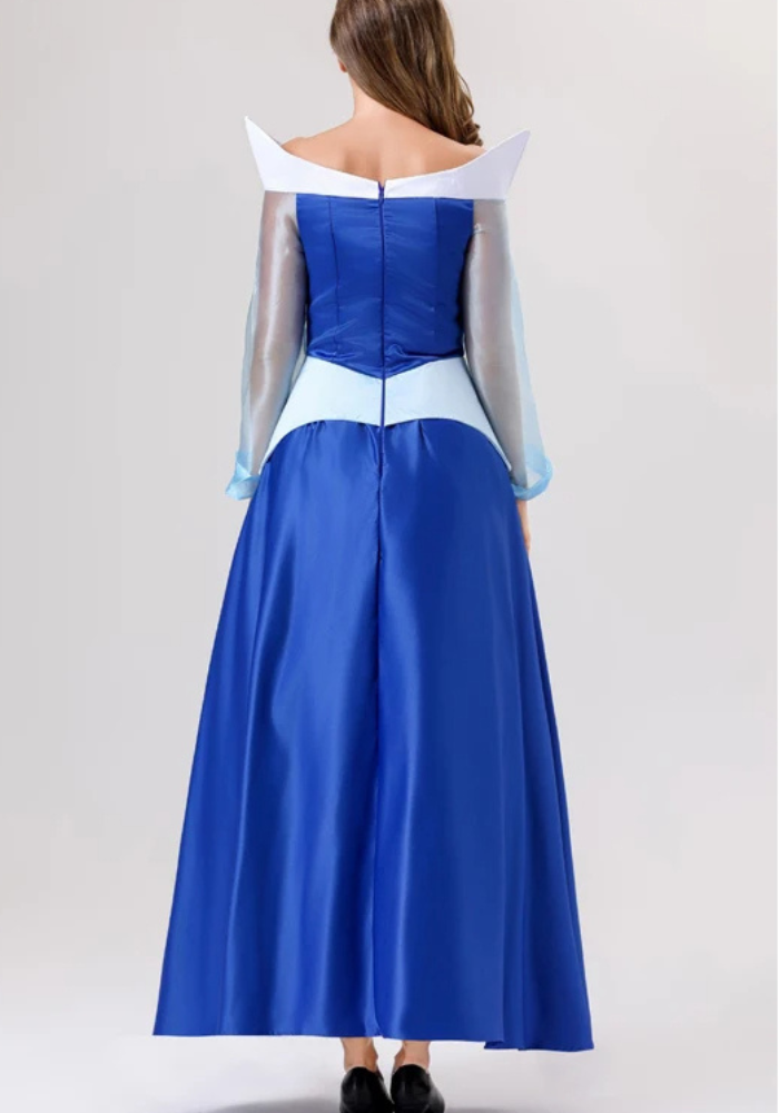 Robe Princesse Simple Bleue Femme