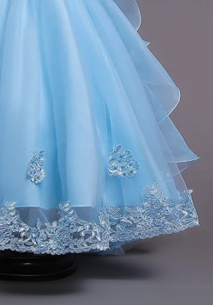 Robe Princesse Bleu Broderie Fille pas cher