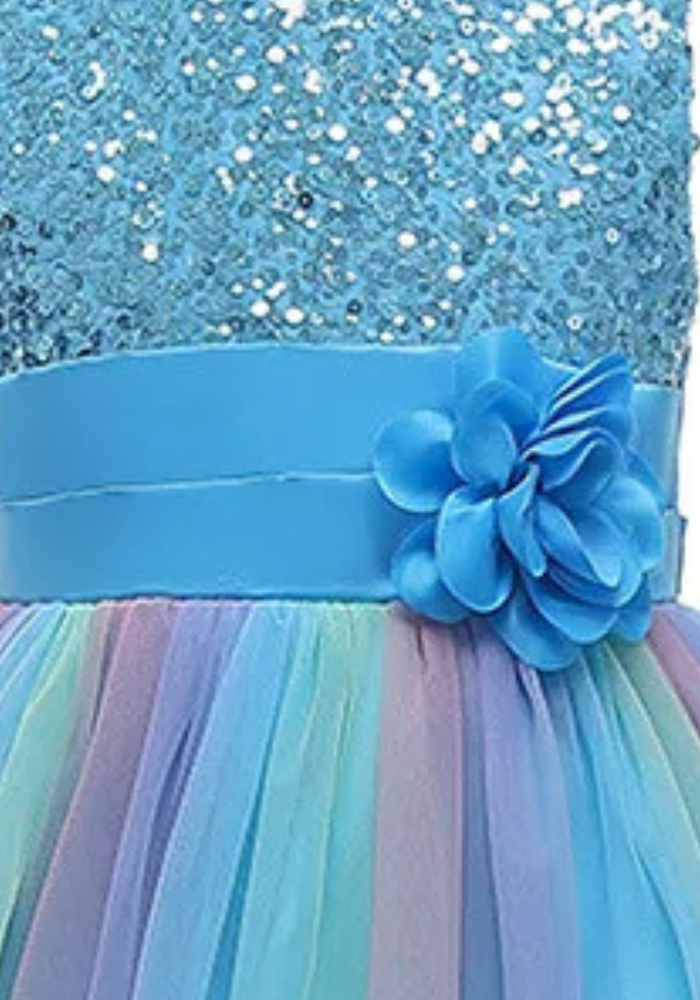 Robe Princesse Bleu Sequin Fille