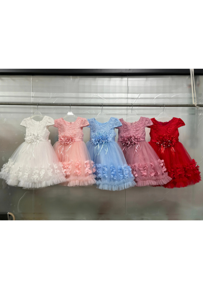 Robe Princesse Broderie Bébé fille