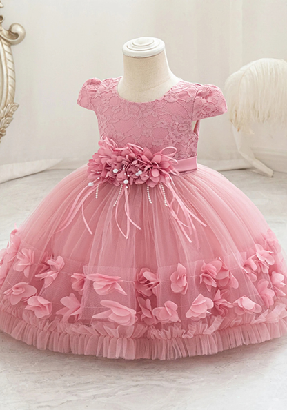 Robe Princesse Broderie Bébé