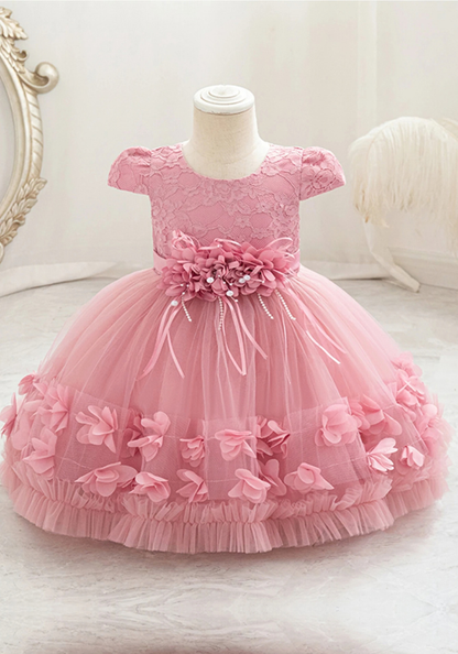 Robe Princesse Broderie Bébé tissu