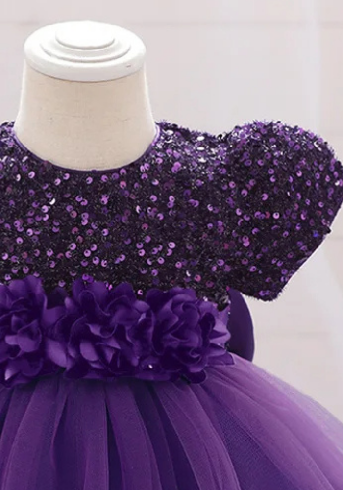 Robe Princesse Mauve Bébé