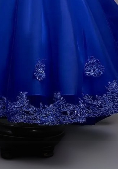 Robe Princesse Bleu Royal Broderie Fille pas cher