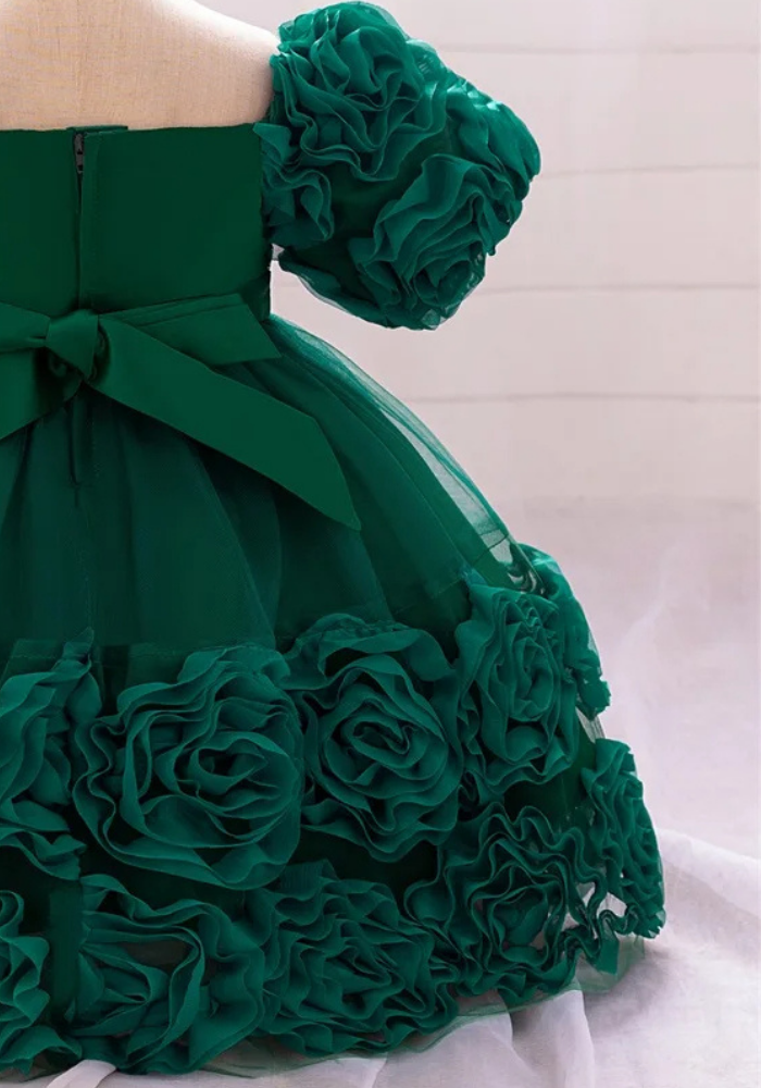 Robe Princesse Fleurs Verte Bébé pas cher