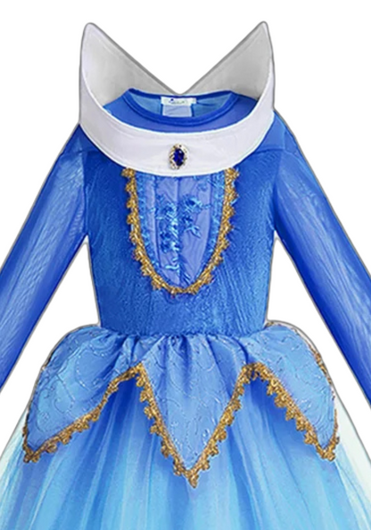 Robe Princesse Bleu Ciel Fille 