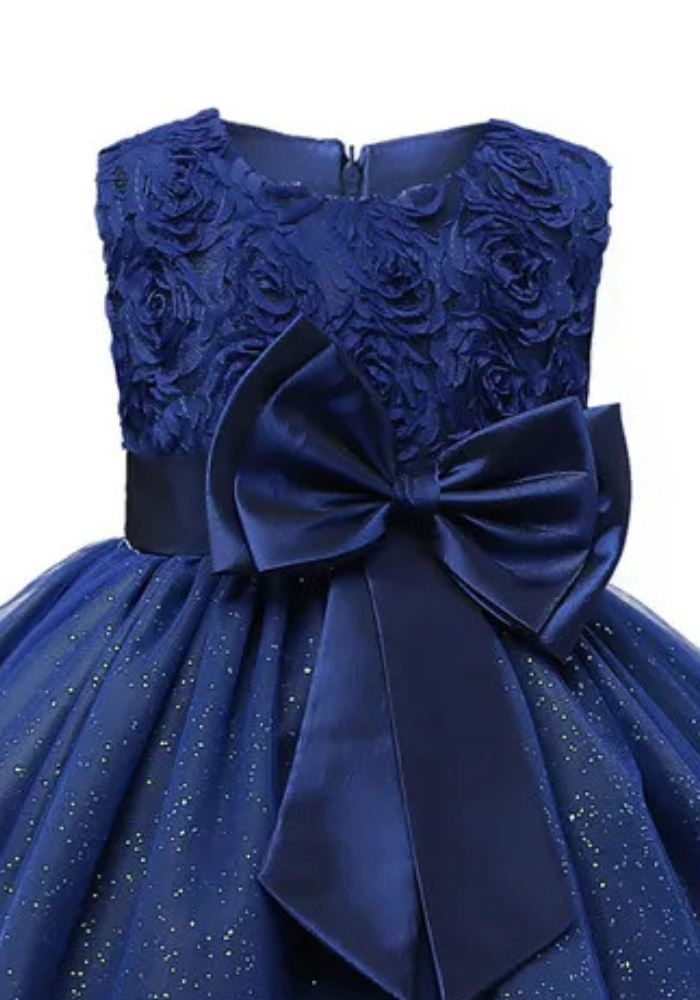 Robe Princesse Bleu Marine Fille