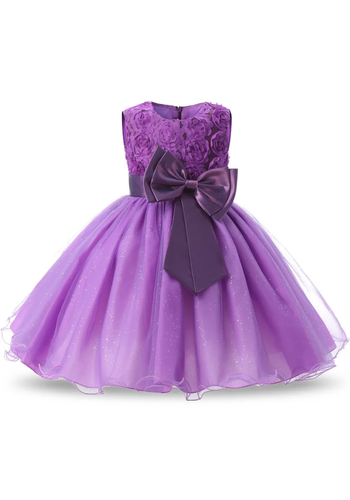 Robe Princesse Parme Fille