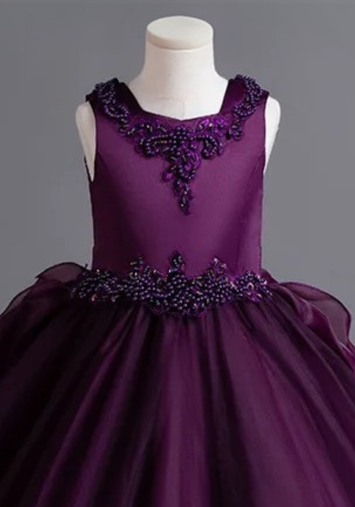 Robe Princesse Prune Broderie Fille