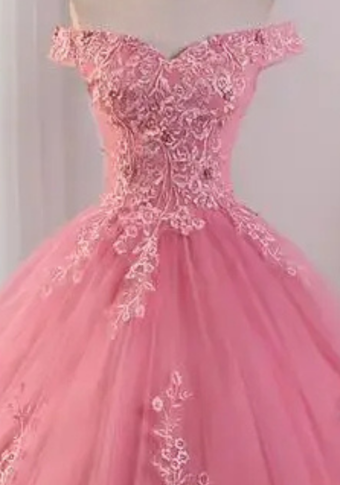 Robe Princesse Rose Femme