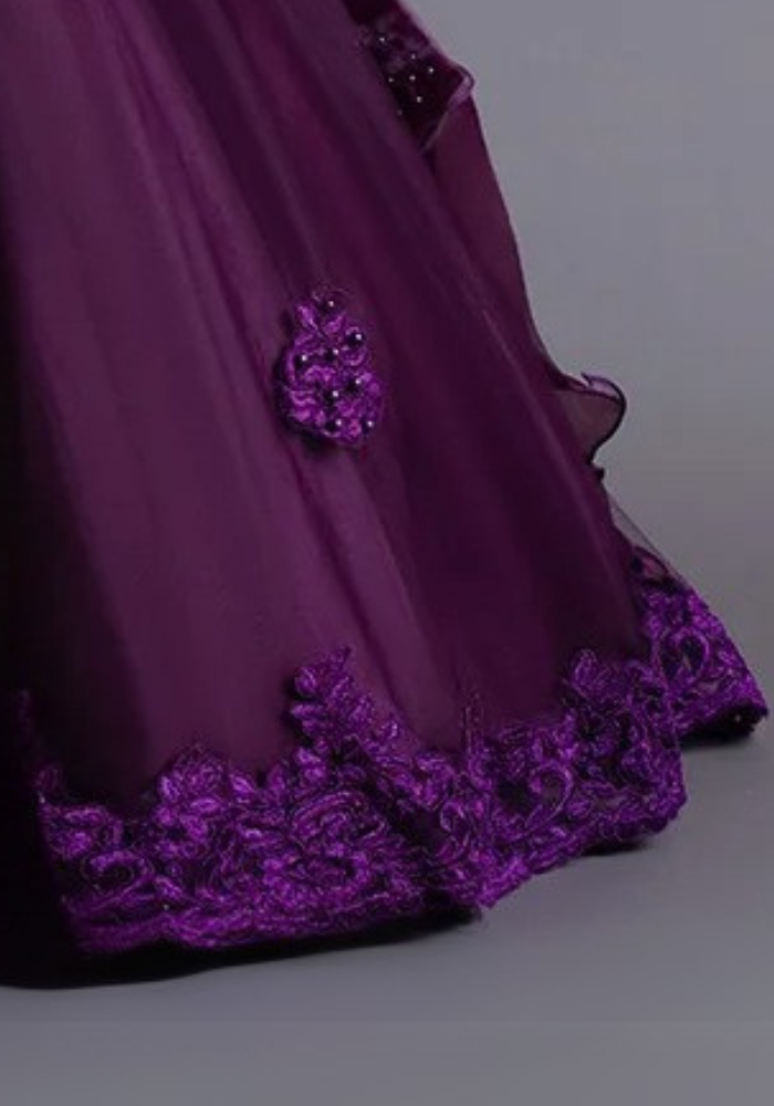 Robe Princesse Prune Broderie Fille pas cher