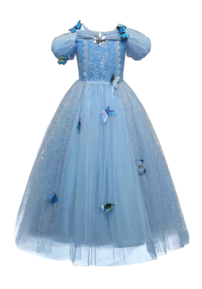 Robe Princesse Papillon Fille