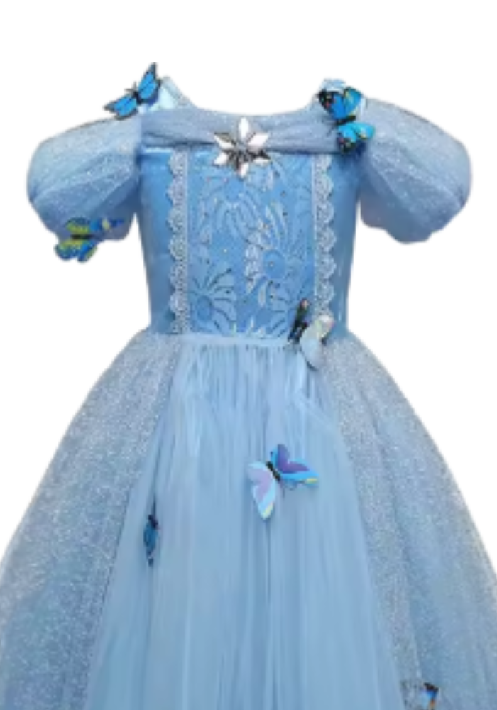 Robe Princesse Papillon Fille