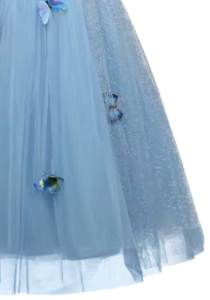 Robe Princesse Papillon Fille pas cher