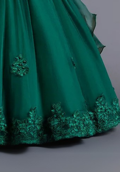 Robe Princesse Verte Broderie Fille pas cher