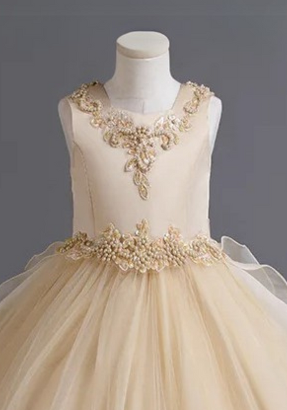 Robe Princesse Broderie Fille