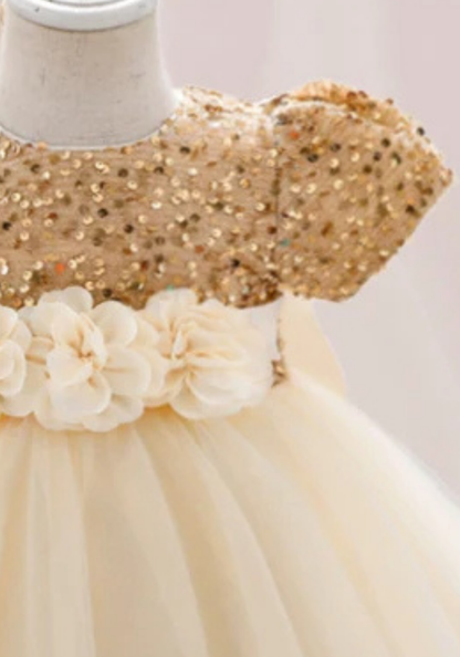 Robe Princesse Doré Bébé