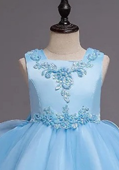 Robe Princesse Bleu Broderie Fille