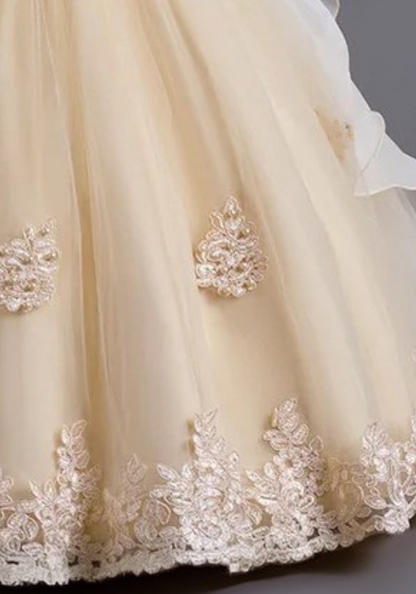 Robe Princesse Broderie Fille pas cher