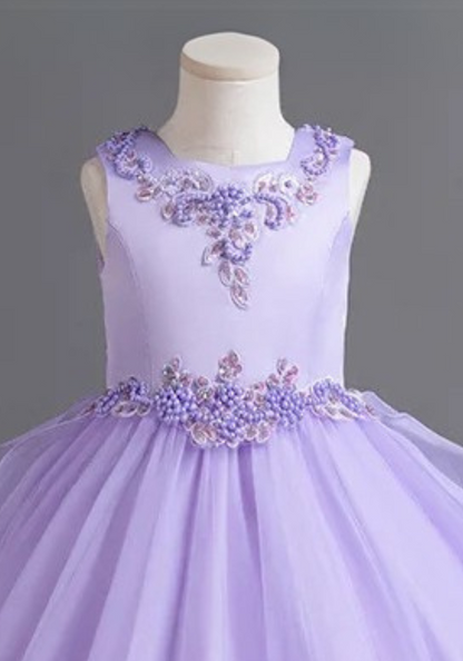 Robe Princesse Violette Broderie Fille