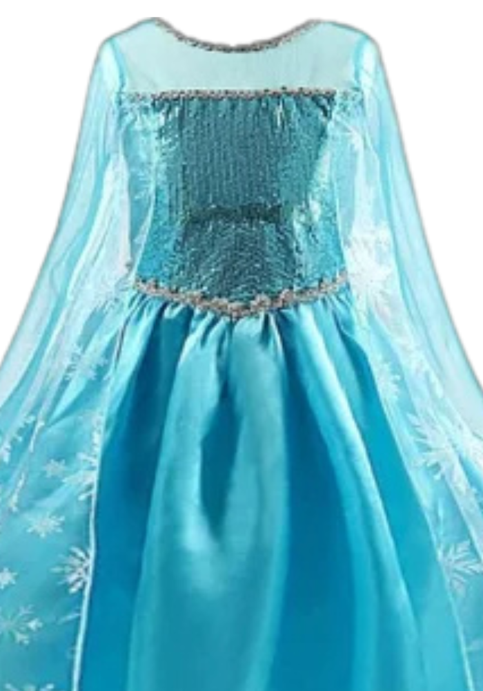 Robe Princesse Longue Bleu Fille