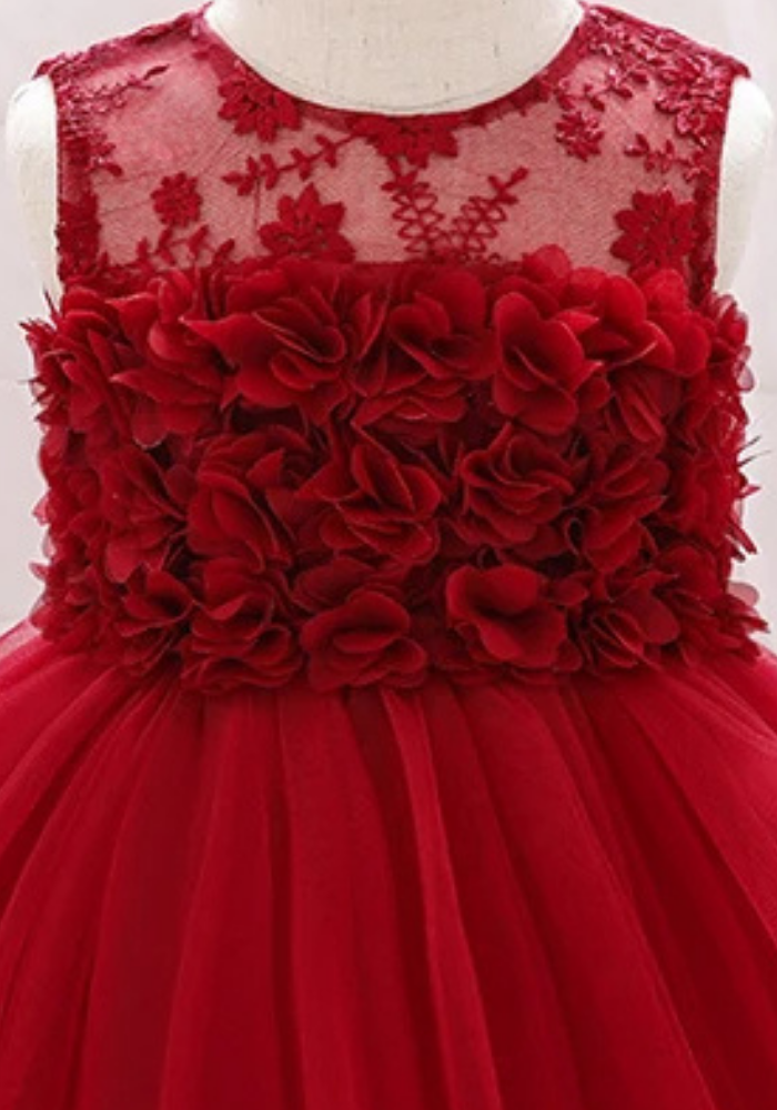 Robe Princesse Dentelle Rouge Bébé pas cher