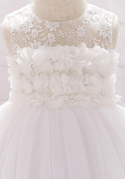 Robe Princesse Dentelle Blanche Bébé pas cher