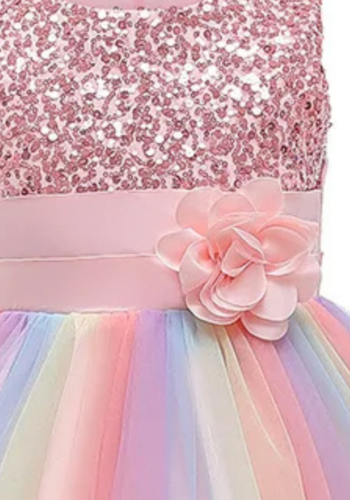 Robe Princesse Rose Sequin Fille pas cher