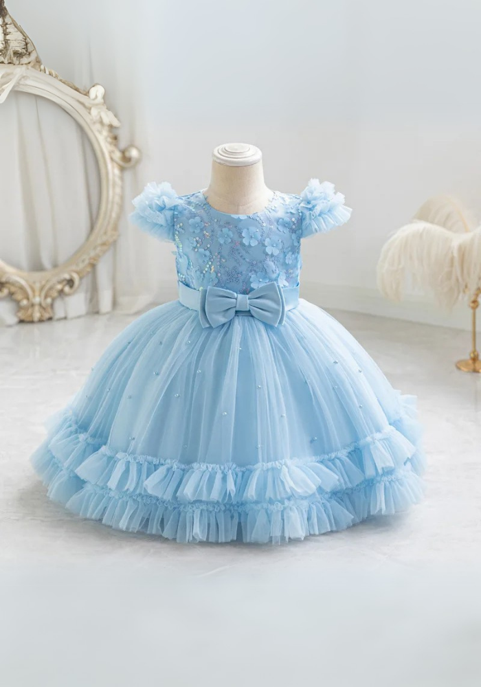 Robe Princesse Bleu Broderie Bébé