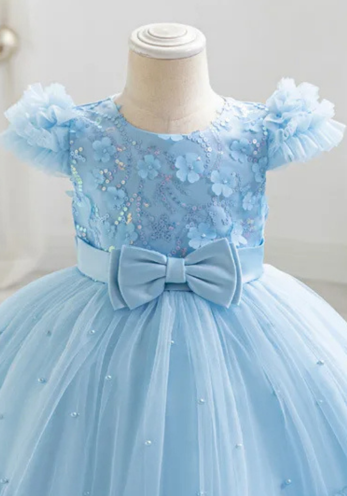 Robe Princesse Bleu Broderie Bébé