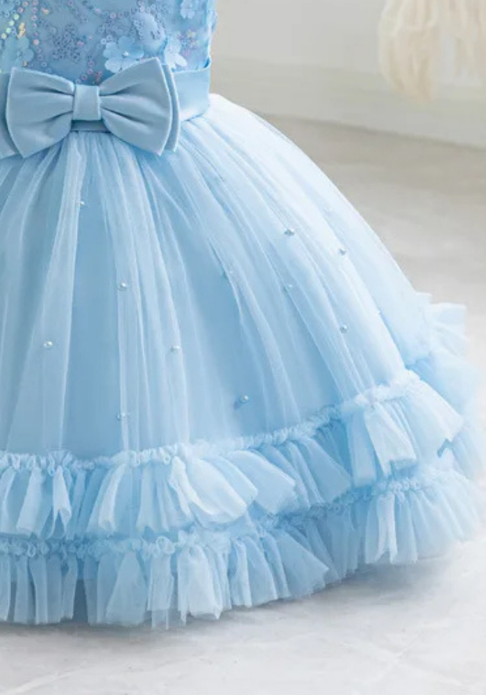 Robe Princesse Bleu Broderie Bébé pas cher