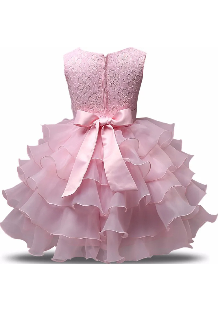 Robe Princesse Rose Froufrou Fille