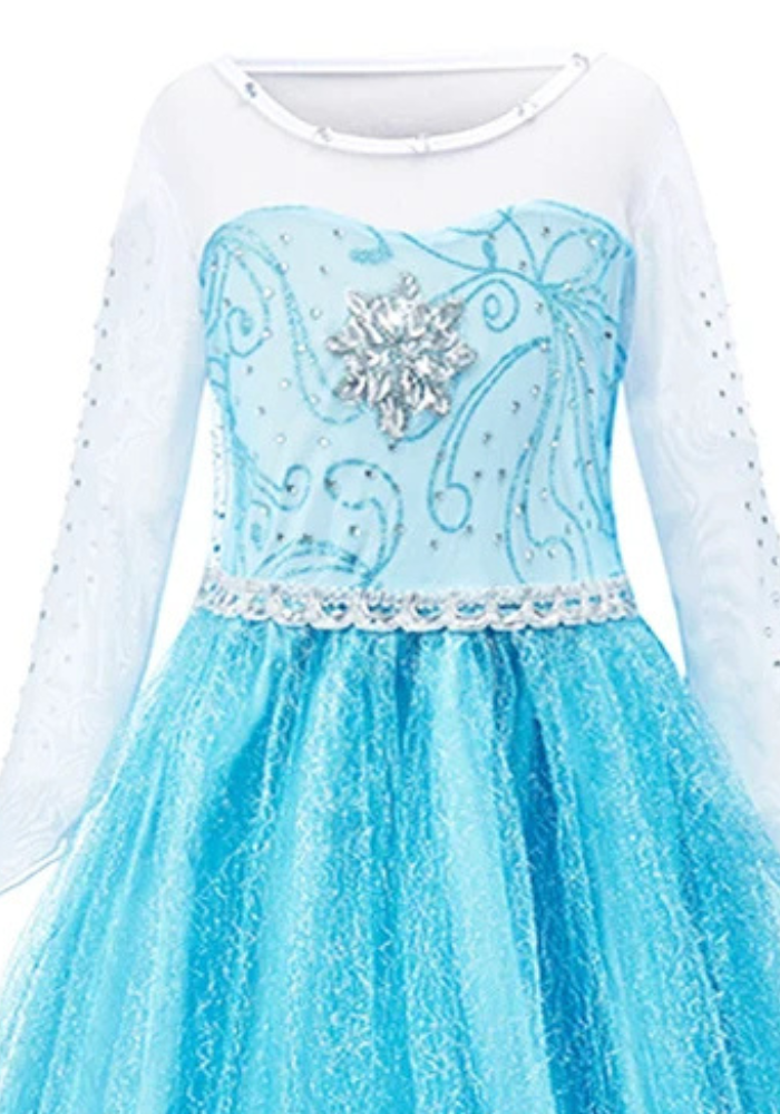 Robe Princesse Bleu Givré Fille