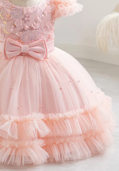 Robe Princesse Rose Broderie Bébé pas cher