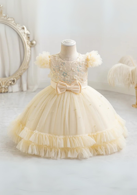 Robe Princesse Jaune Broderie Bébé