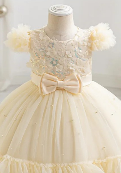 Robe Princesse Jaune Broderie Bébé