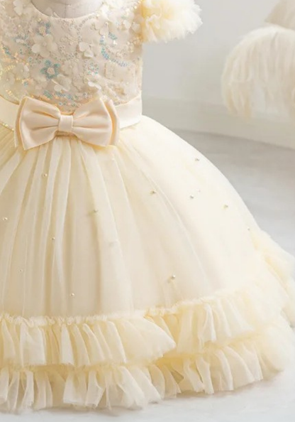 Robe Princesse Jaune Broderie Bébé pas cher