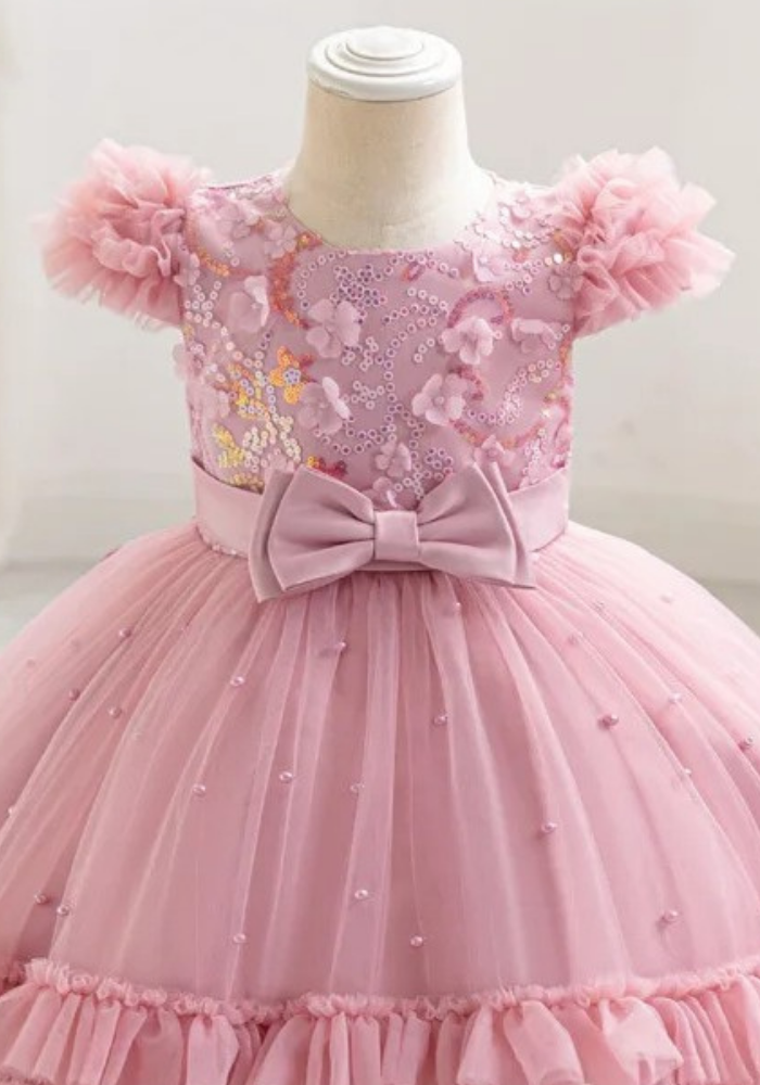 Robe Princesse Broderie Bébé