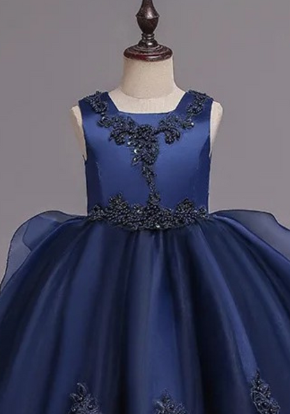 Robe Princesse Bleu Nuit Broderie Fille