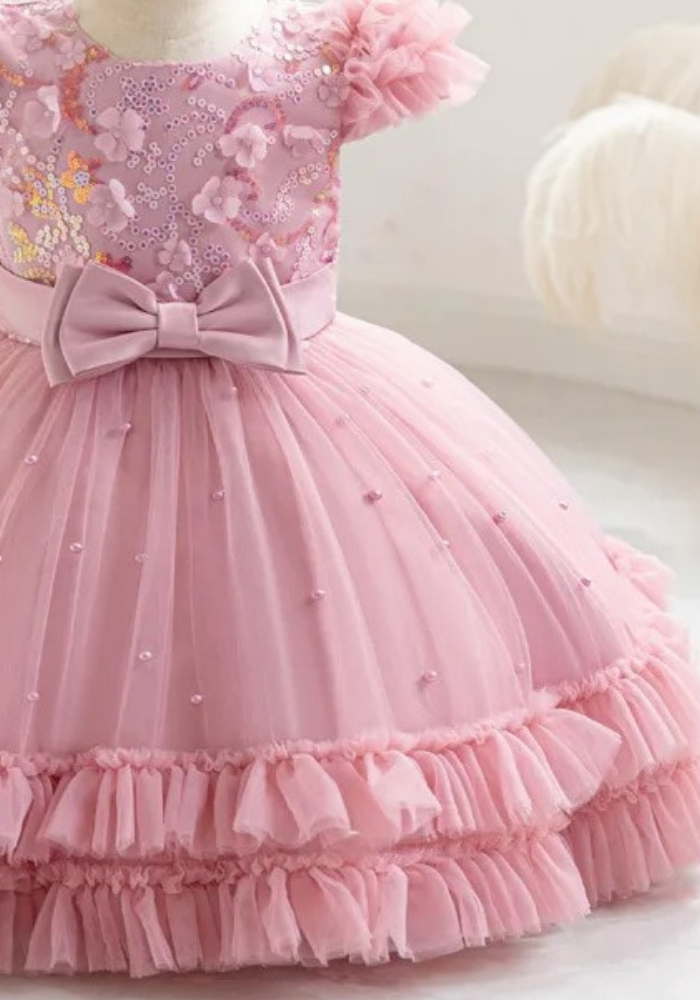 Robe Princesse Broderie Bébé pas cher