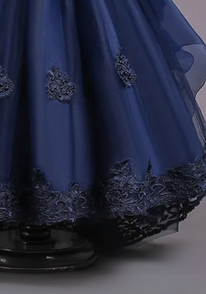 Robe Princesse Bleu Nuit Broderie Fille pas cher