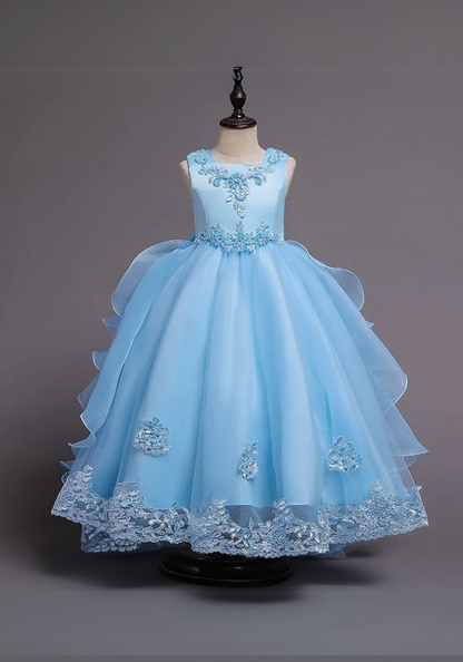 Robe Princesse Bleu Broderie Fille